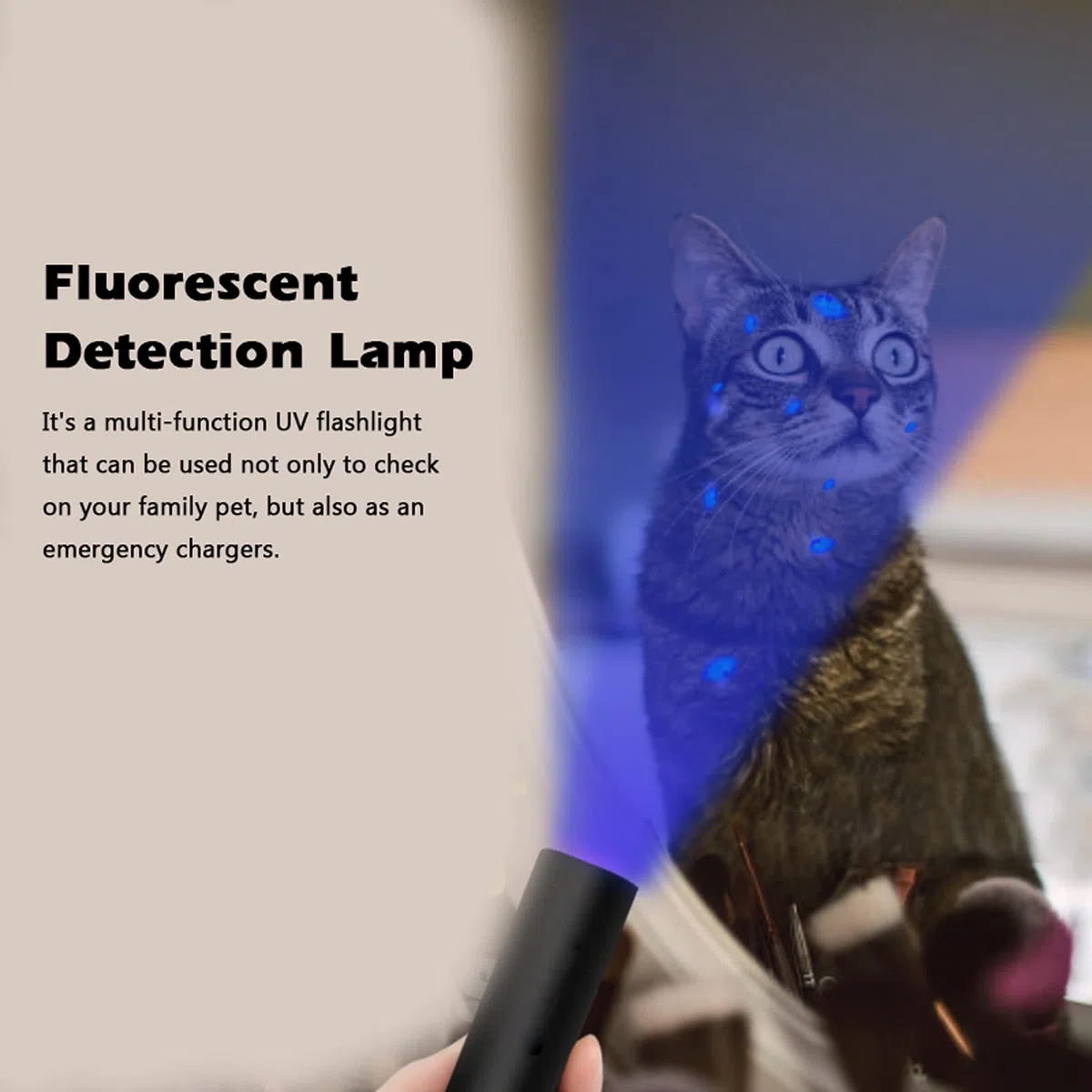 XiaoXIN Lámpara de prueba de hongos UV 365nm, carga USB, linterna de luz ultravioleta, lámpara de detección fluorescente, luz de tiña