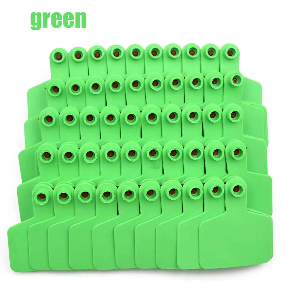 Crotales en blanco para orejas de ganado, tamaño grande, 100 piezas, tarjetas de identificación de ganado, crotales para orejas de ganado para ganado, caballos, cerdos y cabras verde 100pcs