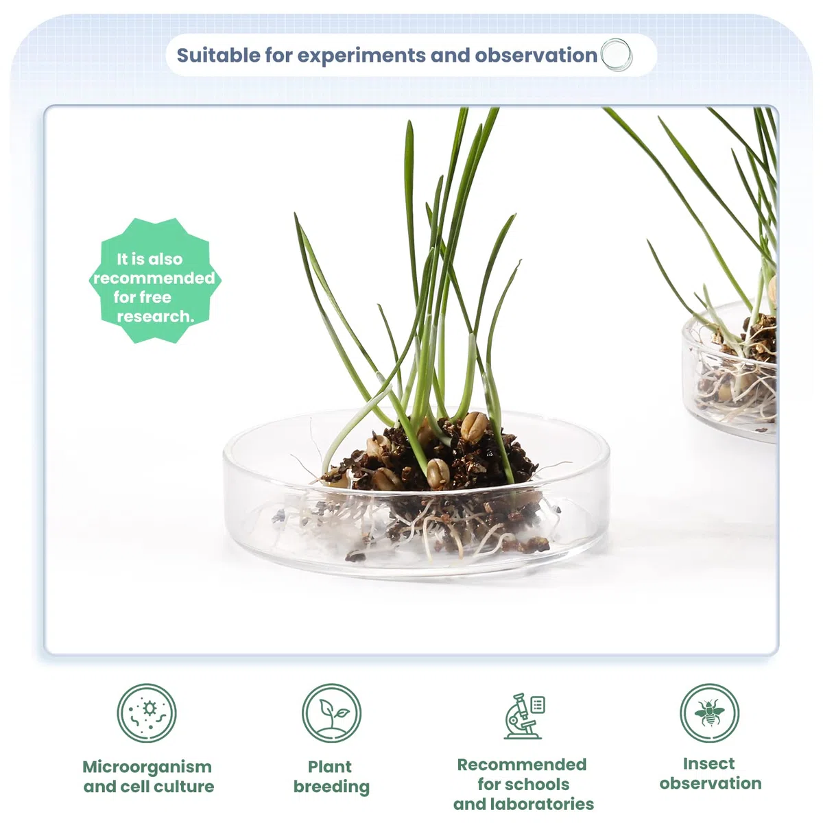 Huanyu 75mm Placas de Petri con tapas 5 unidades Placa de Petri de vidrio de borosilicato alto para cultivo bacteriano, para experimentos científicos escolares en laboratorios de moldes