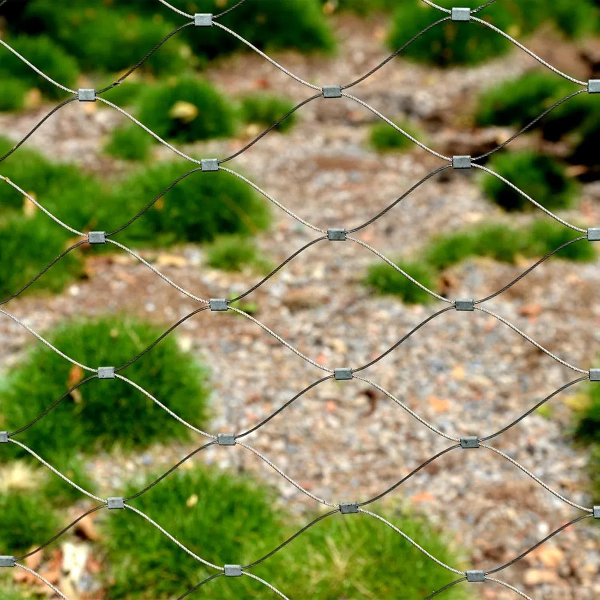 50m Cuerda de Alambre de Acero Inoxidable, Cable de Acero 3mm Recubierto PVC 7x7 con 8 Abrazaderas Cuerda, 20 Virolas de Aluminio, Suspensión Cable de Metal Tendedero Jardín Exteriores (Plata-3mm)