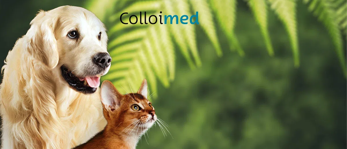 Zinc de electrodos de varillas maciza para colloimed Collection oidma ster cm1000 – Zinc coloidal establecer