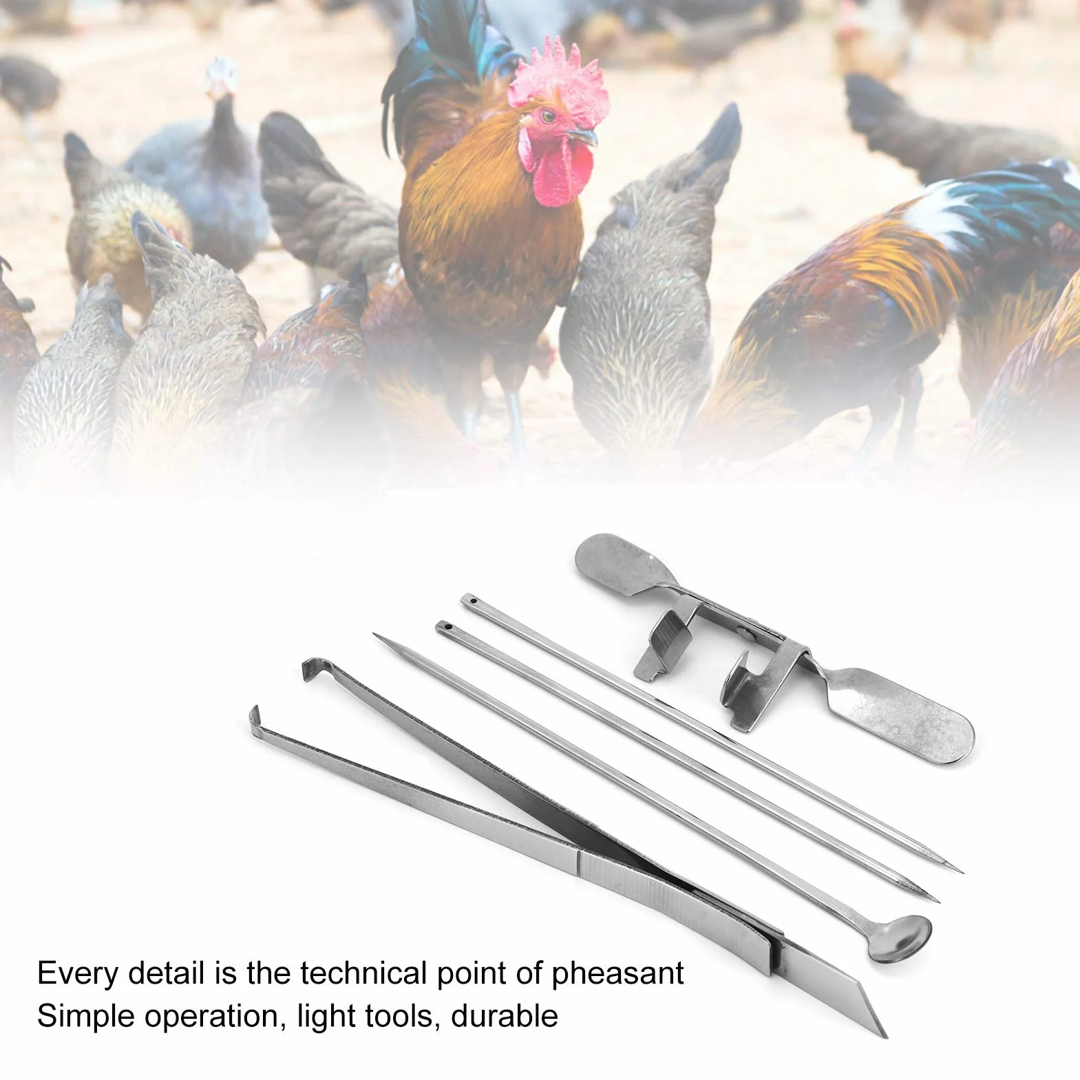 Kit De Herramientas De Acero Inoxidable Para Capón De Pollo, 5 Uds., Instrumento Veterinario Para Granjas Avícolas Para Castración De Pollos, Herramientas Para Granjas Avícolas