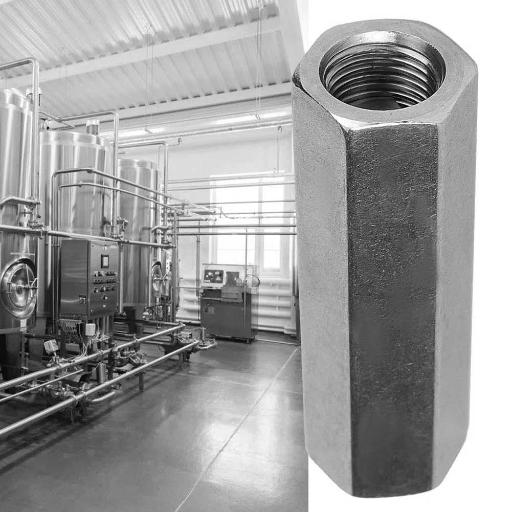 Válvula de Retención de Aire Unidireccional, Rosca Hembra BSPP, Hexagonal, Acero Inoxidable 304, para Gas, Agua, Aceite, 4 Tamaños