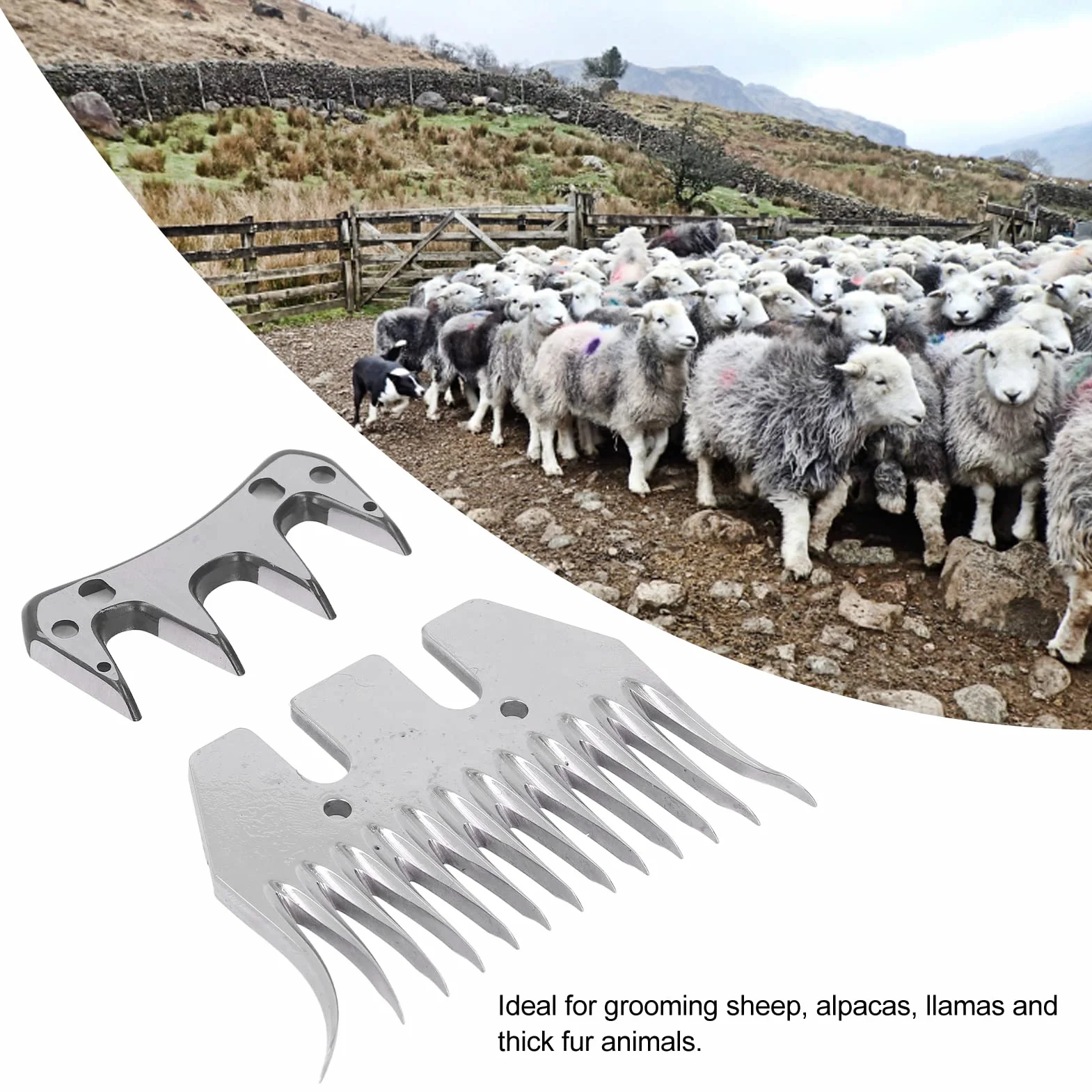 Cuchilla de Tijeras para Ovejas, Herramientas Industriales Curvadas de 13 Dientes, Cortador de Lana, Cortador de Peine, Kit de Accesorios