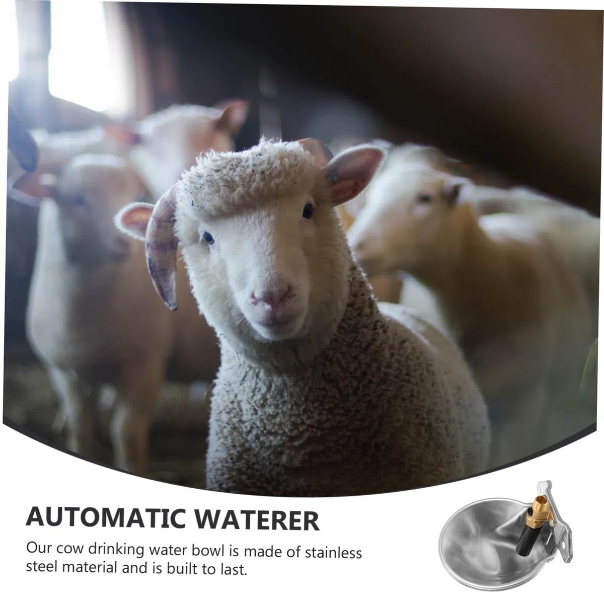 Bebederos Automáticos para Gallinas Capacidad Grande de Acero Inoxidable y Borde Redondo para Granjas que Garantizan Seguridad y Resistencia al Óxido