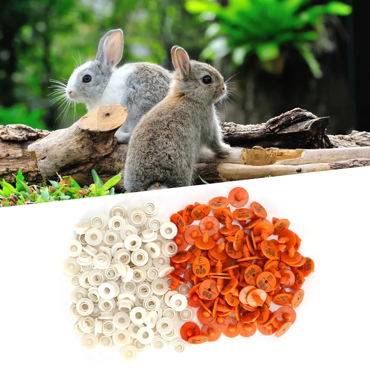 Fdit Crotal de Oreja de Animal para Conejos, Visones y Otros Animales Pequeños, Crotal de Oreja de Conejo Numerado, Etiqueta de Identificación de Animales con Número único Visón y