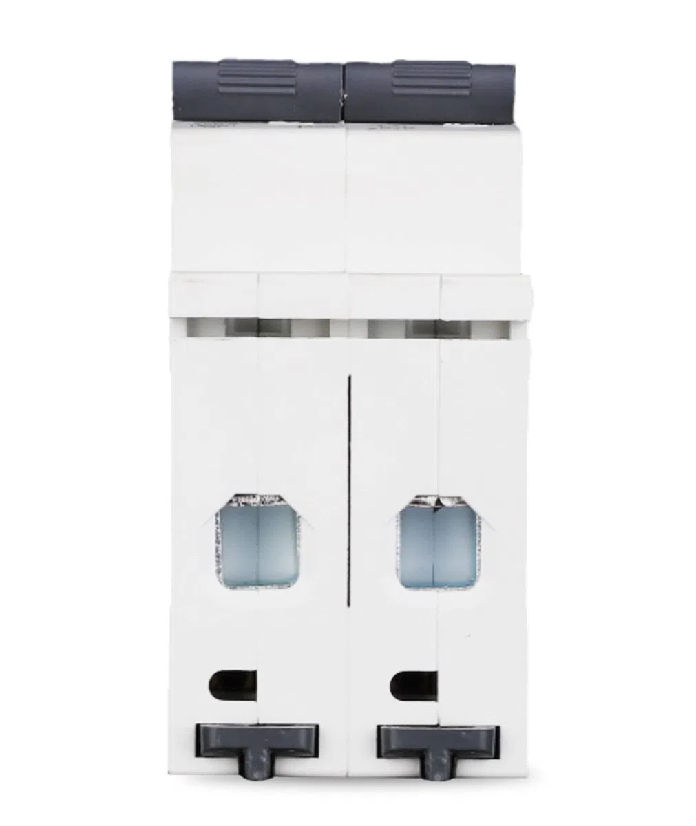 Interruptor Magnetotérmico 2P 50A