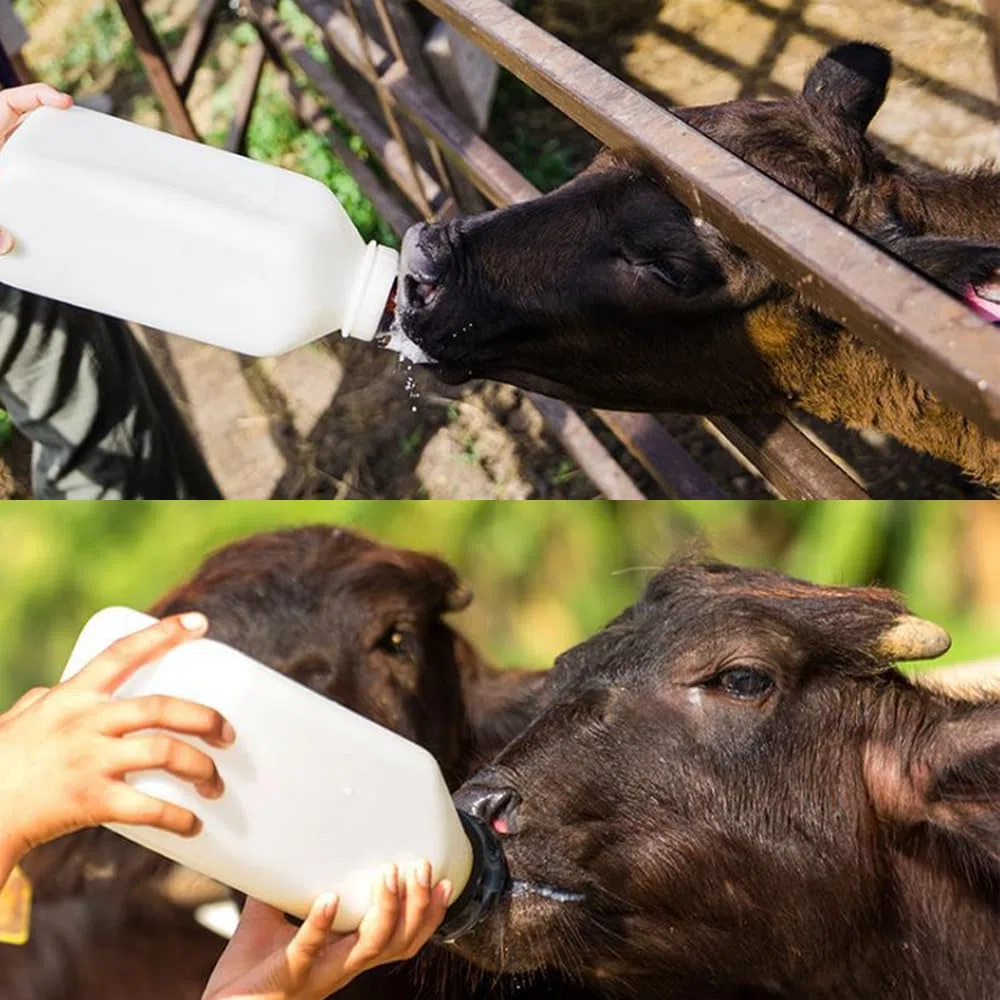 Biberón de alimentación para terneros con tetina de silicona, alimentador vertical de leche de becerro de 3 litros con asa para vacas, corderos, granjas, ganado, suministros de alimentación