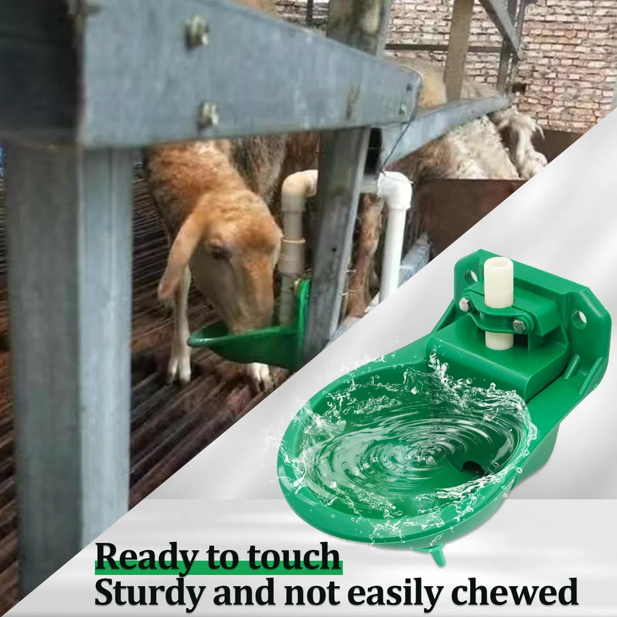 Bebedero Automático para Ovejas, Bebedero AutomáTico Verde para Ovejas, Cabras, Cerdos y Perros, Pack de 2