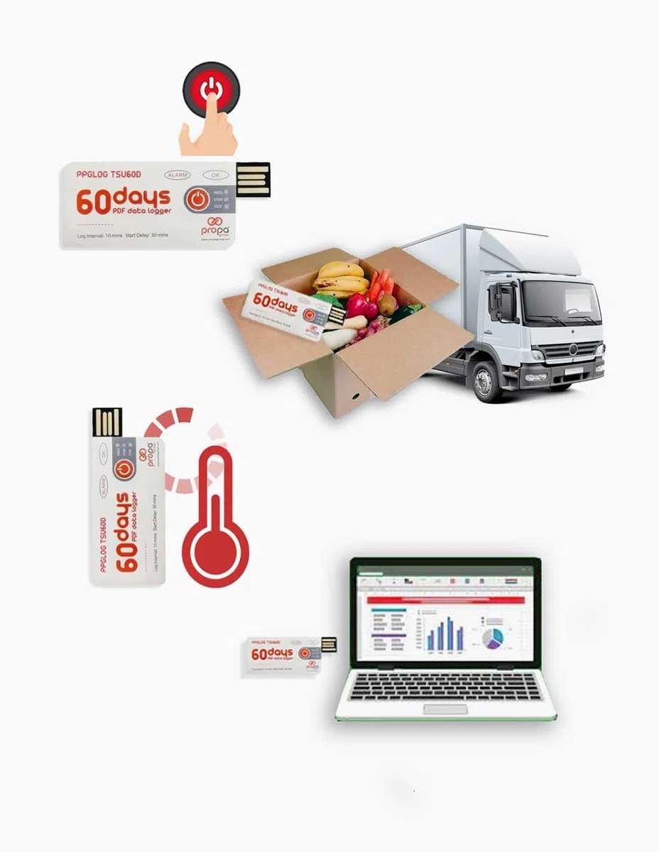 Registrador de Temperatura TEMP U05-10 uds