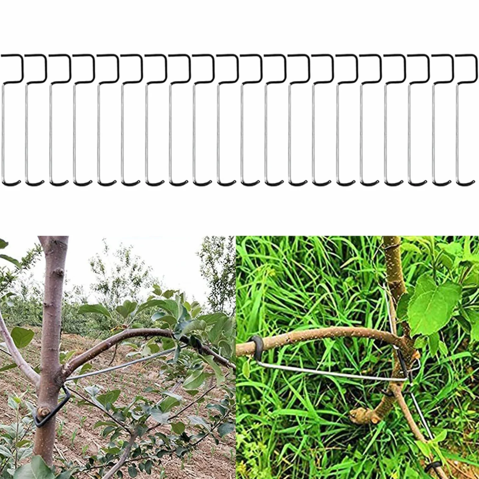 20 separadores de ramas de árboles frutales, separadores de ramas de frutas, soporte para árboles de frutas, alambre reutilizable para esparcidores de ramas en el jardín 18T