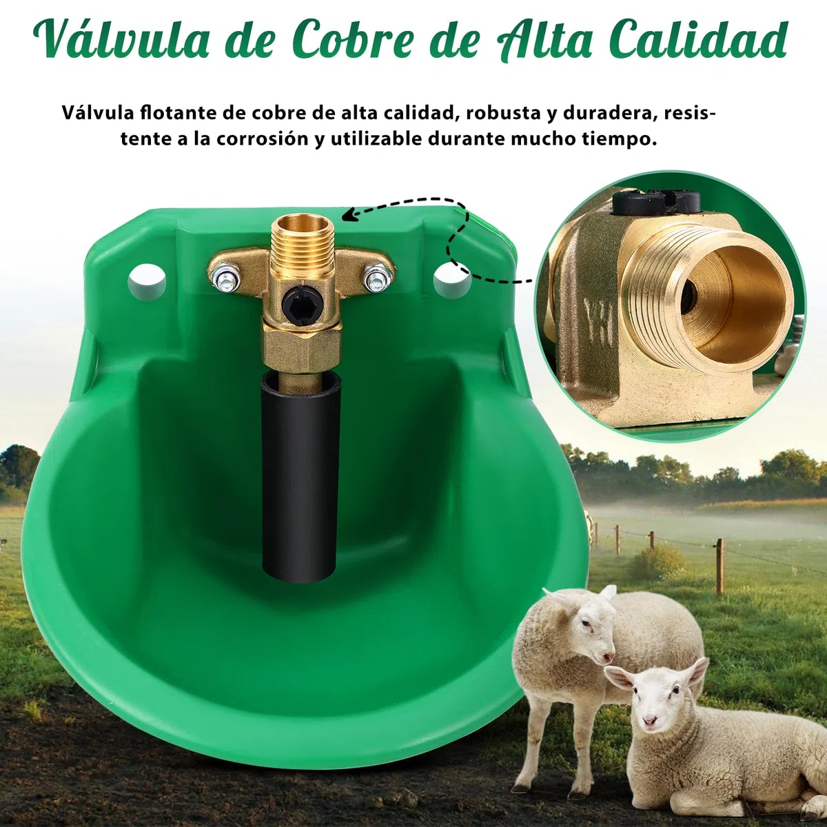 2 Piezas Bebederos Automáticos Para Ovejas, Ganaderos Con Orificios De Drenaje, Suministro Automático De Agua Para Caballos, Ganado, Ovejas, Cerdos Y Perros, Pastos, Verde