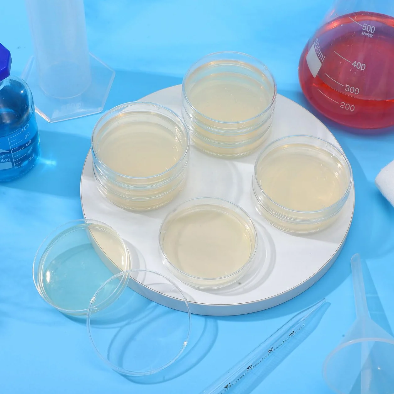 ULTECHNOVO Kit De Proyectos Científicos Para Microbiología 10 Piezas Placas De Agar Pre-Vertidas Placas De Petri Para Aprender Microbiología Proyecto Educativo Para La Ciencia.