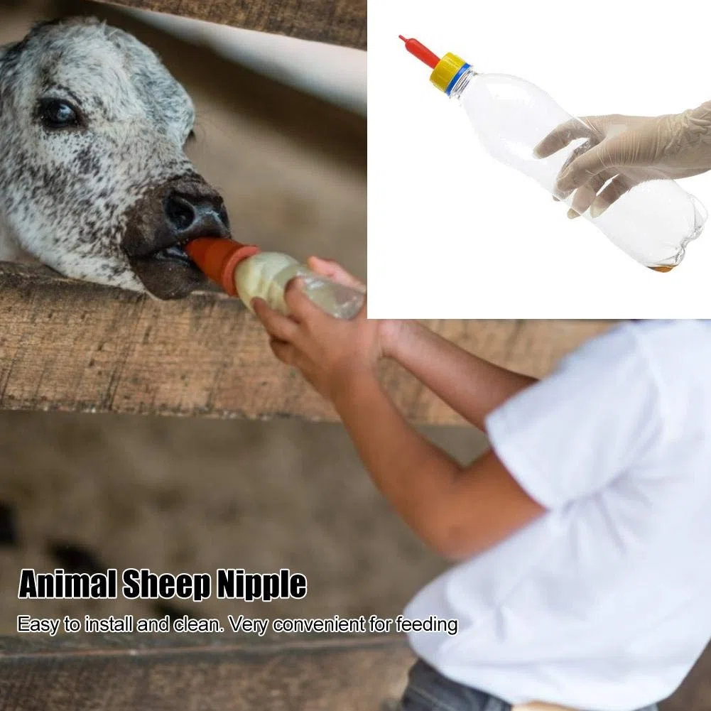 50 Unids Oveja Cabra Cordero Leche Bebida Pezones Pequeños animales Bebida de leche Pezón Cordero Tetas Biberón Pezones Suave silicona Chupete para alimentación Cordero huérfano