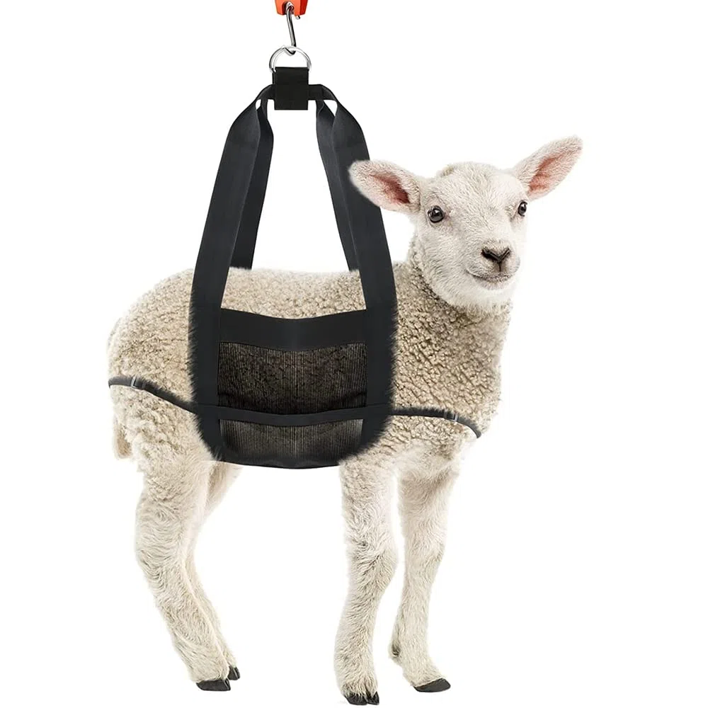 PRATYAHARA - Eslinga de becerro para pesar animales pequeños, eslinga de ganado, escalera suspendida, escala de peso suspendida para pesar