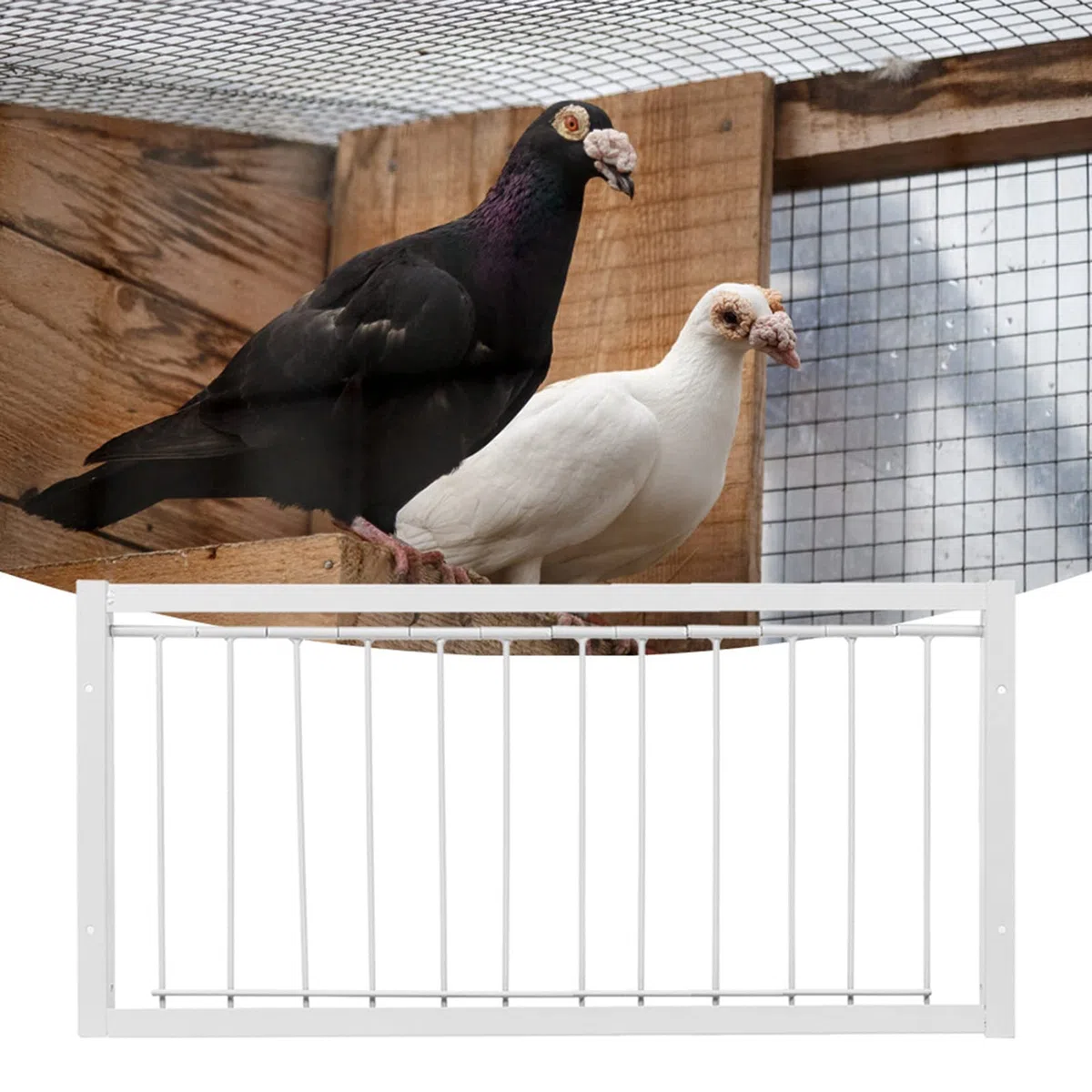 Jaulas para Pájaros, Trampa en T, Marco de Barras de Alambre para Puerta de Paloma, Trampa en T para Entrada, Puerta de Entrada para Palomas, Puerta de Casa para Pájaros, Puerta de Casa(53,5 * 26 cm)
