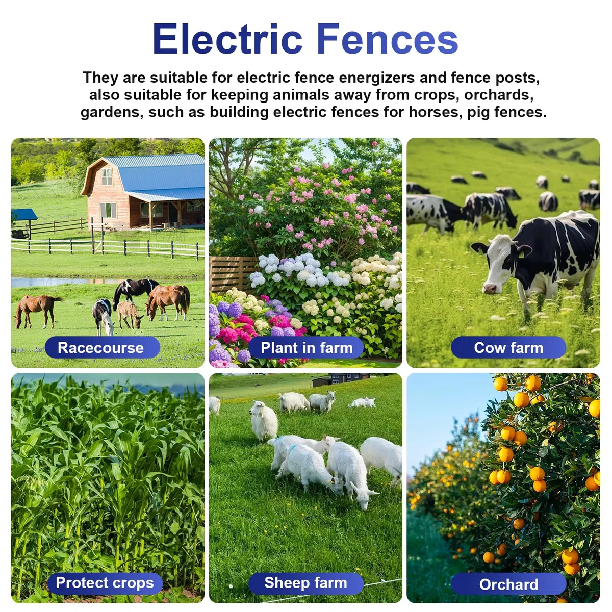 100 Piezas Aisladores de Anillo para Pastor Eléctrico con Adaptador de Taladro, Aisladores de Rosca para Postes de Madera, Material PP+PE Resistente, Cercas de Pasto y Caballos