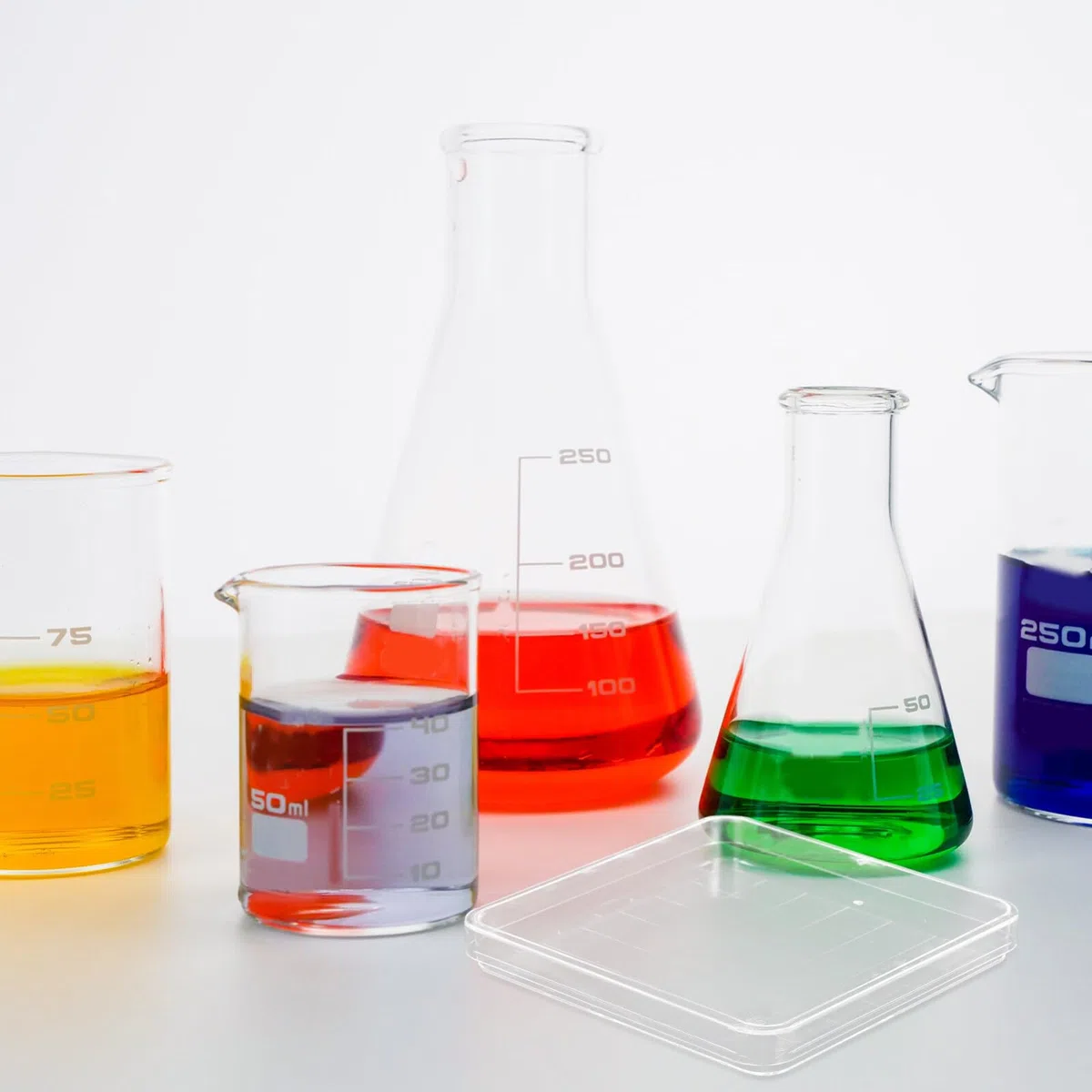 OUNONA Placas De Petri De Laboratorio Cuadradas 10X10Cm 10 Piezas Con Tapa Transparente Para Cultivo De Hongos Microbiología Biología Y Proyectos Científicos Escolares