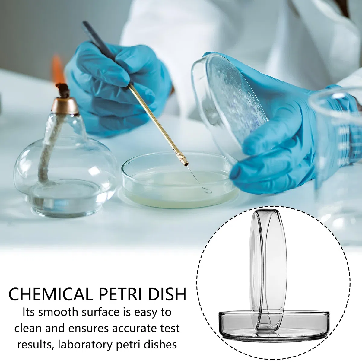 5 placas de Petri, placas de Petri de cristal, placas de Petri de 60 x 18 mm, placas de Petri transparentes esterilizadas, para escuelas y cultivos de laboratorio, levadura bacteriana (tapa 66 x 18