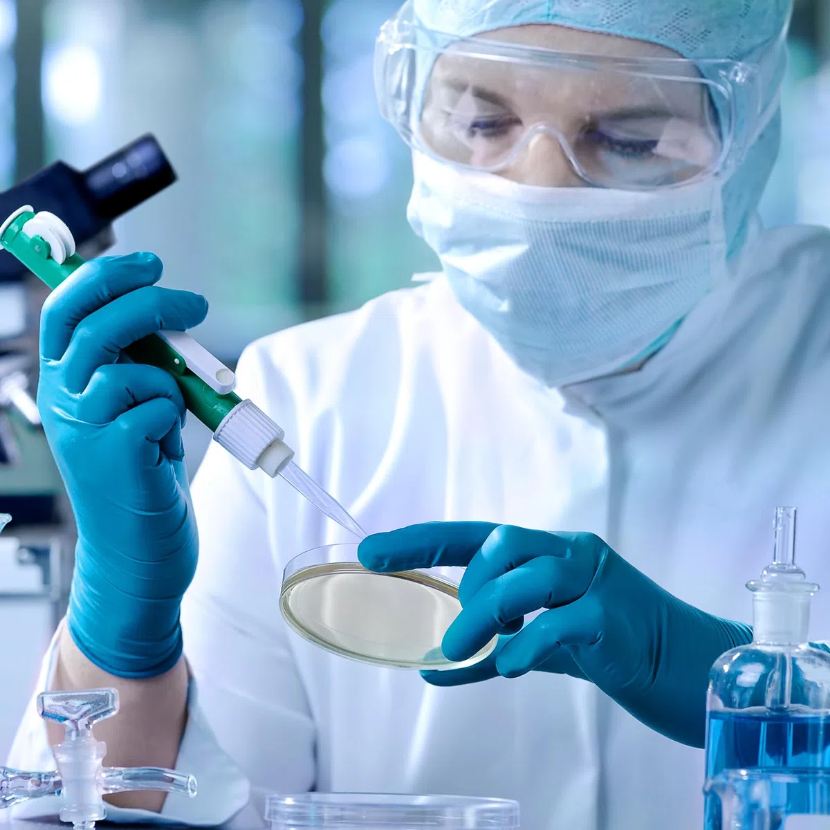 10 Piezas Para Proyectos De Papa Cultivo Prevertido De Siembra De Dextrosa Con Platos De Feria De Ciencias Suministros De Agar Temático De Investigación Biológica