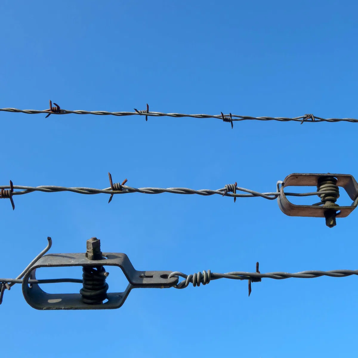 DOJA Industrial | Tensor de Alambre de Acero Galvanizado | PACK 25 | Tensores para malla de alambre, tela metalica, vallas, cable tensor, alambre galvanizado, emparrados, jardin entre otros usos.