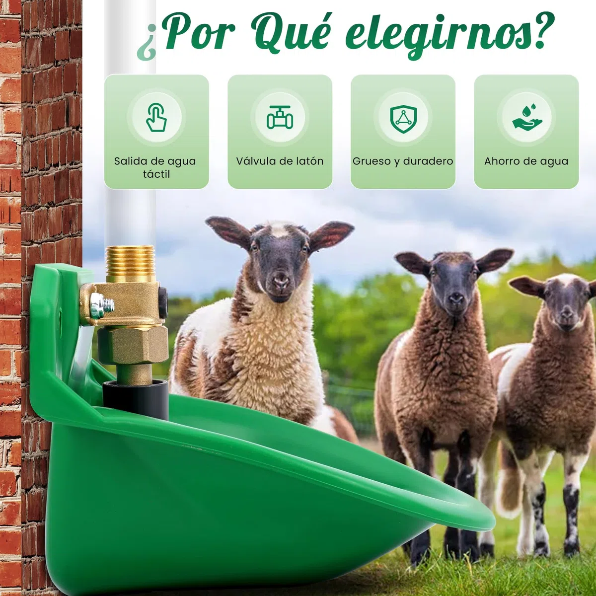 2 Piezas Bebederos Automáticos Para Ovejas, Ganaderos Con Orificios De Drenaje, Suministro Automático De Agua Para Caballos, Ganado, Ovejas, Cerdos Y Perros, Pastos, Verde