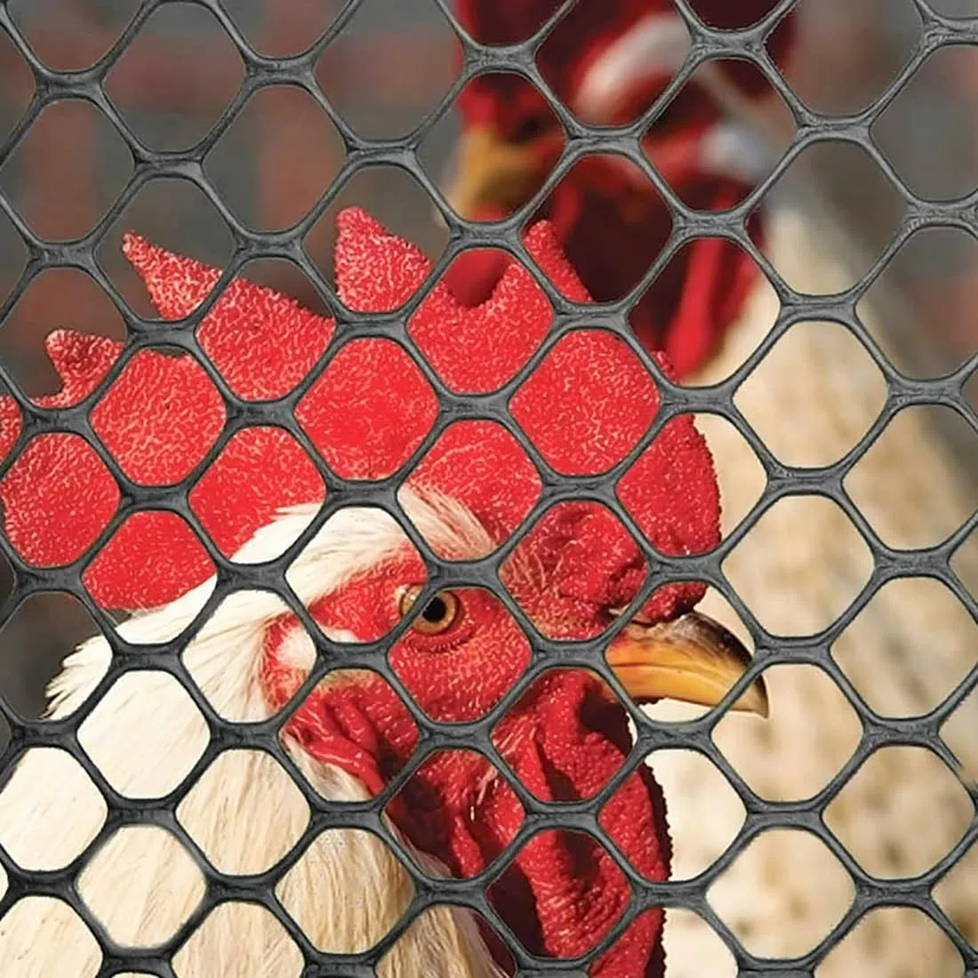 Valla de alambre de plástico reutilizable para valla de alambre de pollo, rollo de malla para cría de aves de corral, red de protección para jardín, balcón, color negro, 0,4 x 6 m