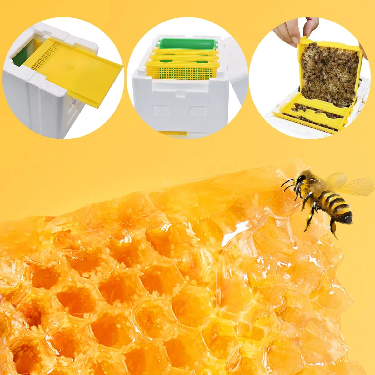 Cajas de Abejas con alimentador de Agua, Caja de Colmena de Abejas de 3 Cuadros con Puerta de cuadrícula, Caja de Bee Mini Caja de Espuma para Abejas, Suministros de Colmena de Abejas para el Ap