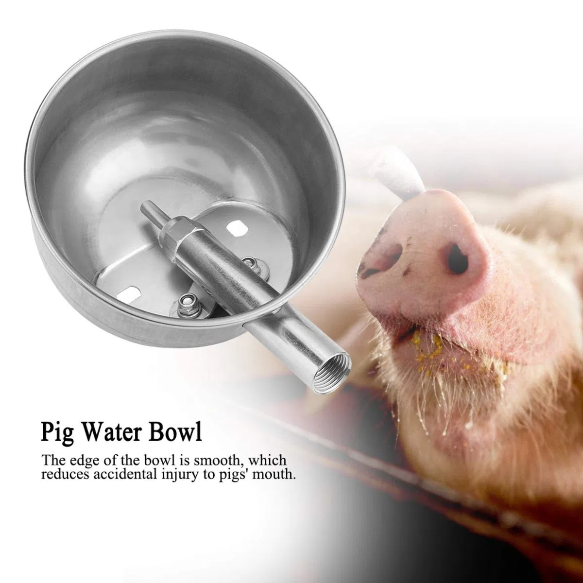 Cuenco de Agua Potable de Cerdo de acero Inoxidable, Equipo de alimentación de lechones para bebederos automáticos