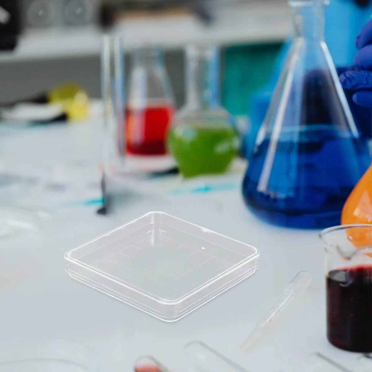 OUNONA Placas De Petri De Laboratorio Cuadradas 10X10Cm 10 Piezas Con Tapa Transparente Para Cultivo De Hongos Microbiología Biología Y Proyectos Científicos Escolares