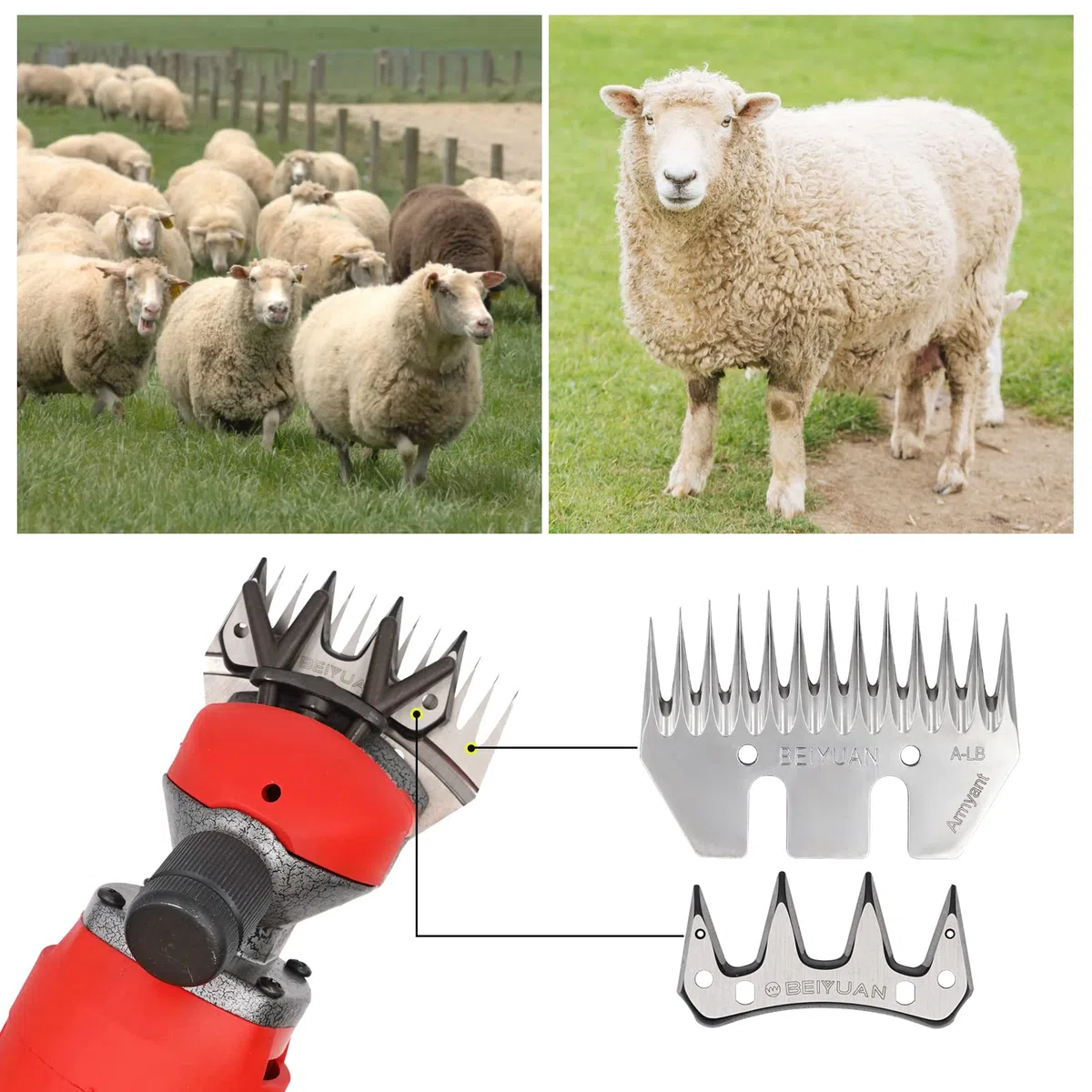 Peine y Cuchilla de acero inoxidable Para Esquiladora de Ovejas, para ovejas cabras, 13 dientes