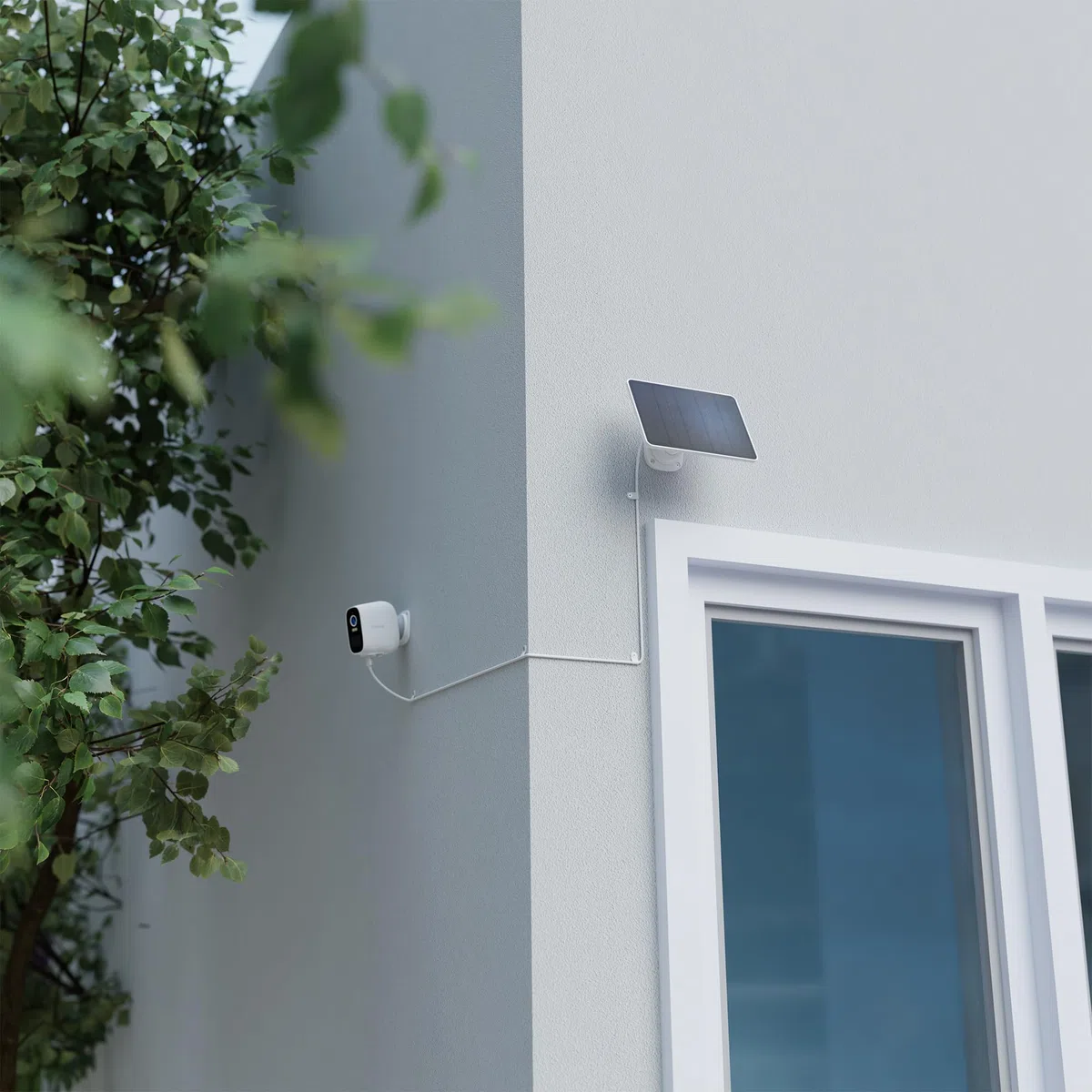 Hombli Panel solar: 3 W