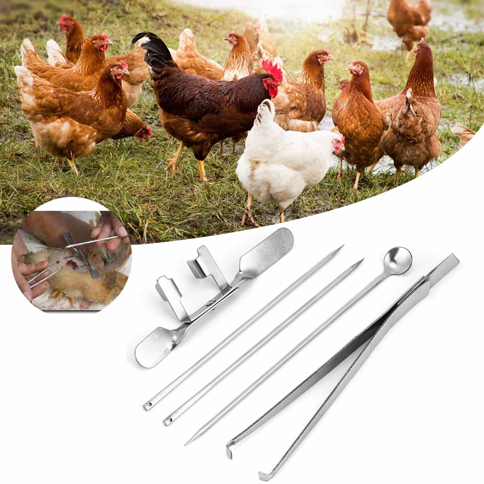 Kit De Herramientas De Acero Inoxidable Para Capón De Pollo, 5 Uds., Instrumento Veterinario Para Granjas Avícolas Para Castración De Pollos, Herramientas Para Granjas Avícolas