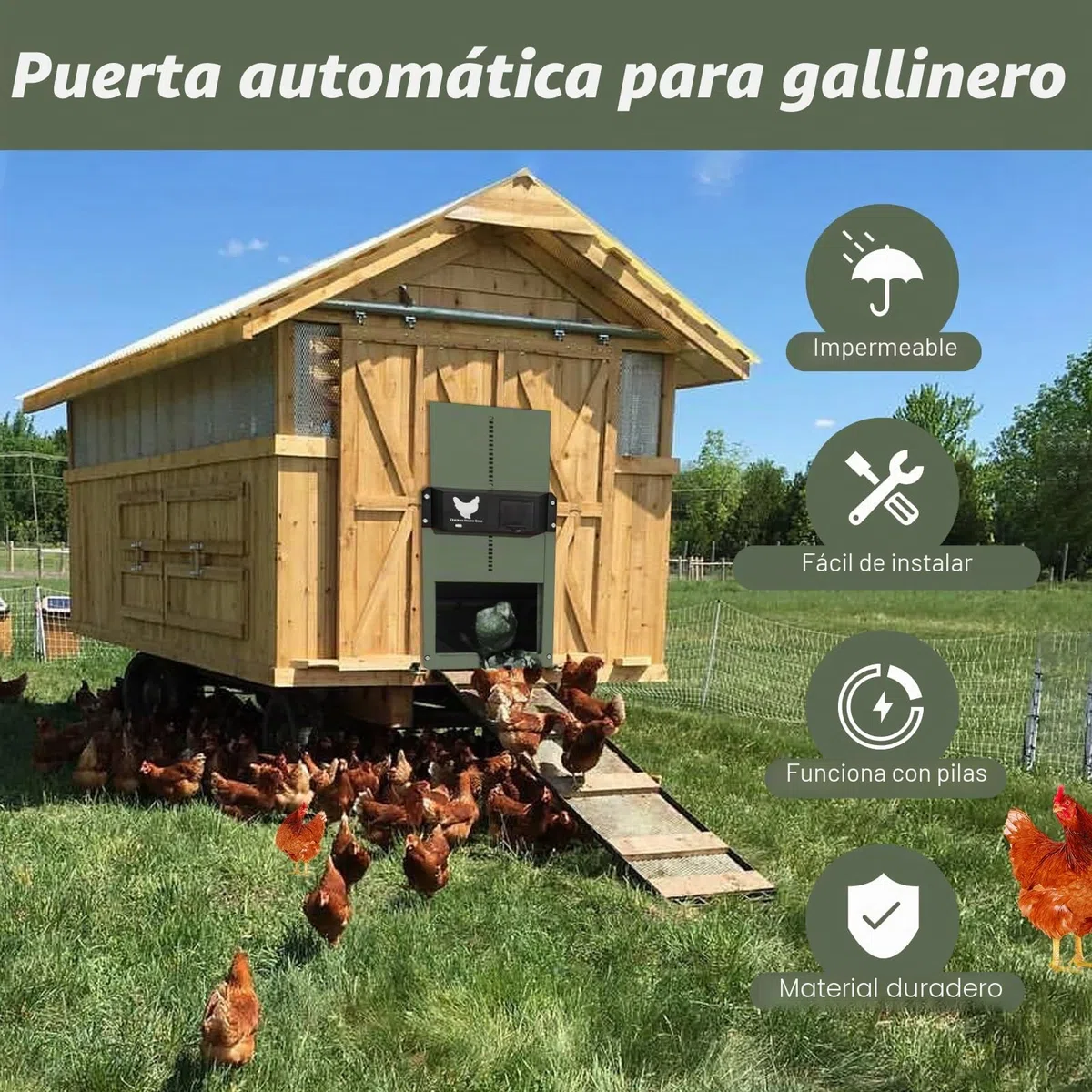 Puerta Automática para Pollos con Corredera y Rieles Guía - Abridor Eléctrico para Gallinero, Cría Segura (Verde)