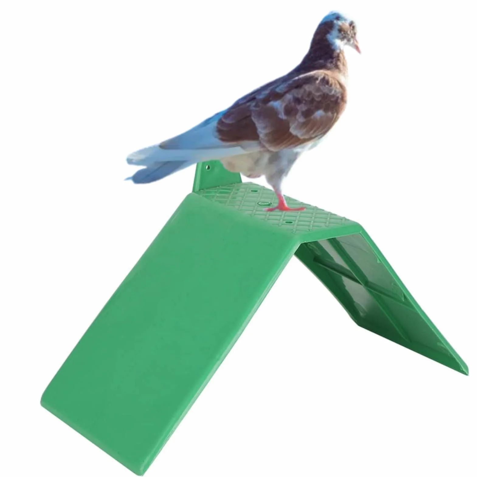 10pcs estantes de Descanso de Palomas, estantes de Descanso de Palomas pequeñas Almohadillas de Palomas estantes de Descanso de Palomas Ligeras Reutilizables de plástico