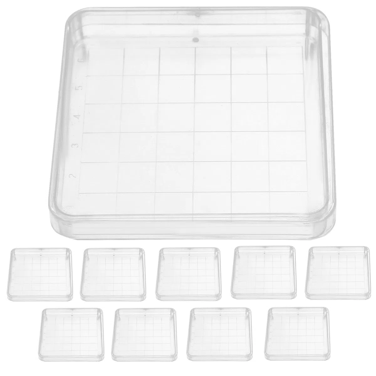 OUNONA Placas De Petri De Laboratorio Cuadradas 10X10Cm 10 Piezas Con Tapa Transparente Para Cultivo De Hongos Microbiología Biología Y Proyectos Científicos Escolares