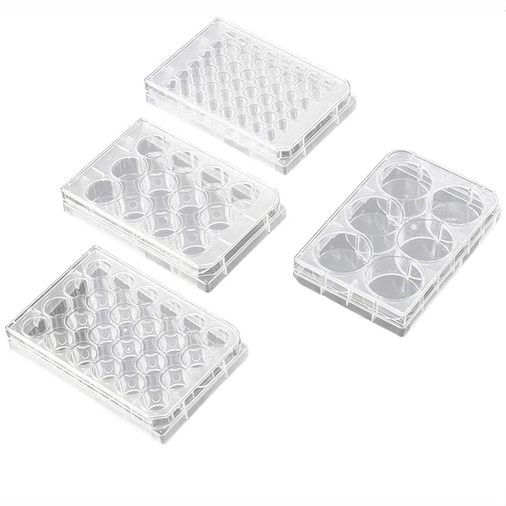 12 placas de cultivo celular de pozo, 20 unidades