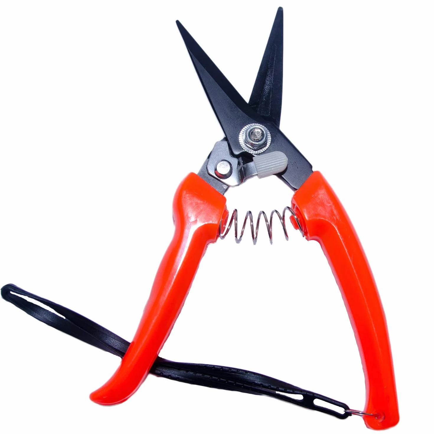 Tijeras profesionales para ovejas y cabras (20,3 cm), color rojo y negro