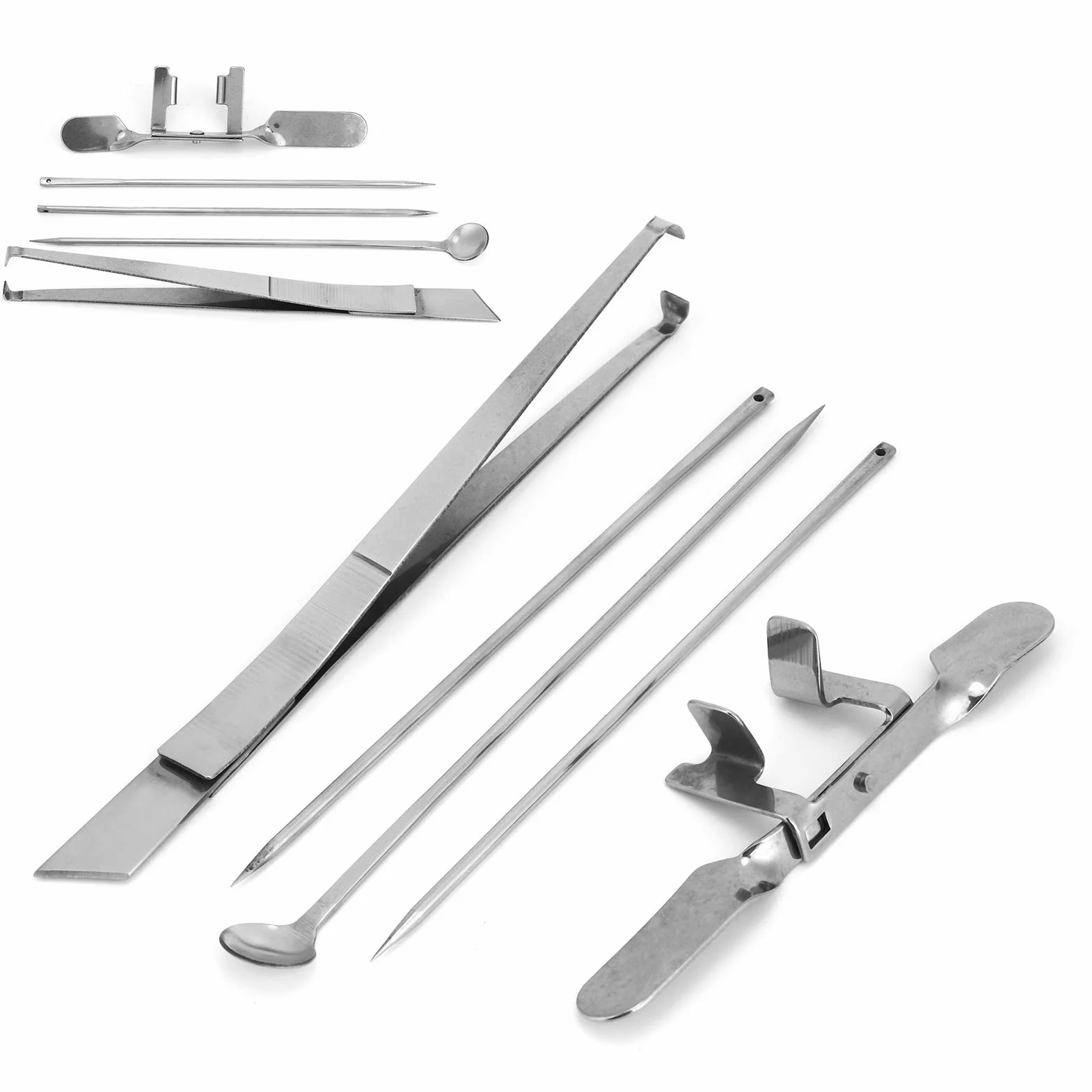 Kit De Herramientas De Acero Inoxidable Para Capón De Pollo, 5 Uds., Instrumento Veterinario Para Granjas Avícolas Para Castración De Pollos, Herramientas Para Granjas Avícolas
