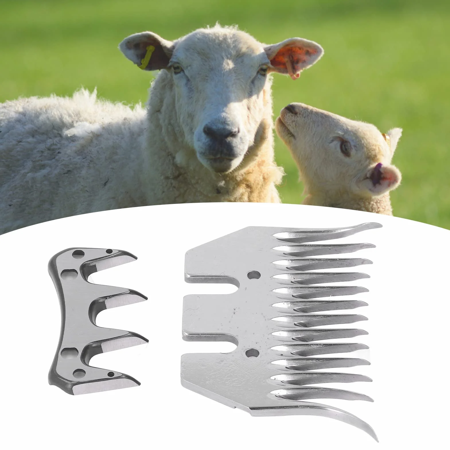 Cuchilla para Esquila de Ovejas ,Curva ,Uso Amplio ,Acero de Alto Carbono ,Paso de 7 Mm ,Cuchillas para Recortadora de Lana ,13 Dientes ,Aseo