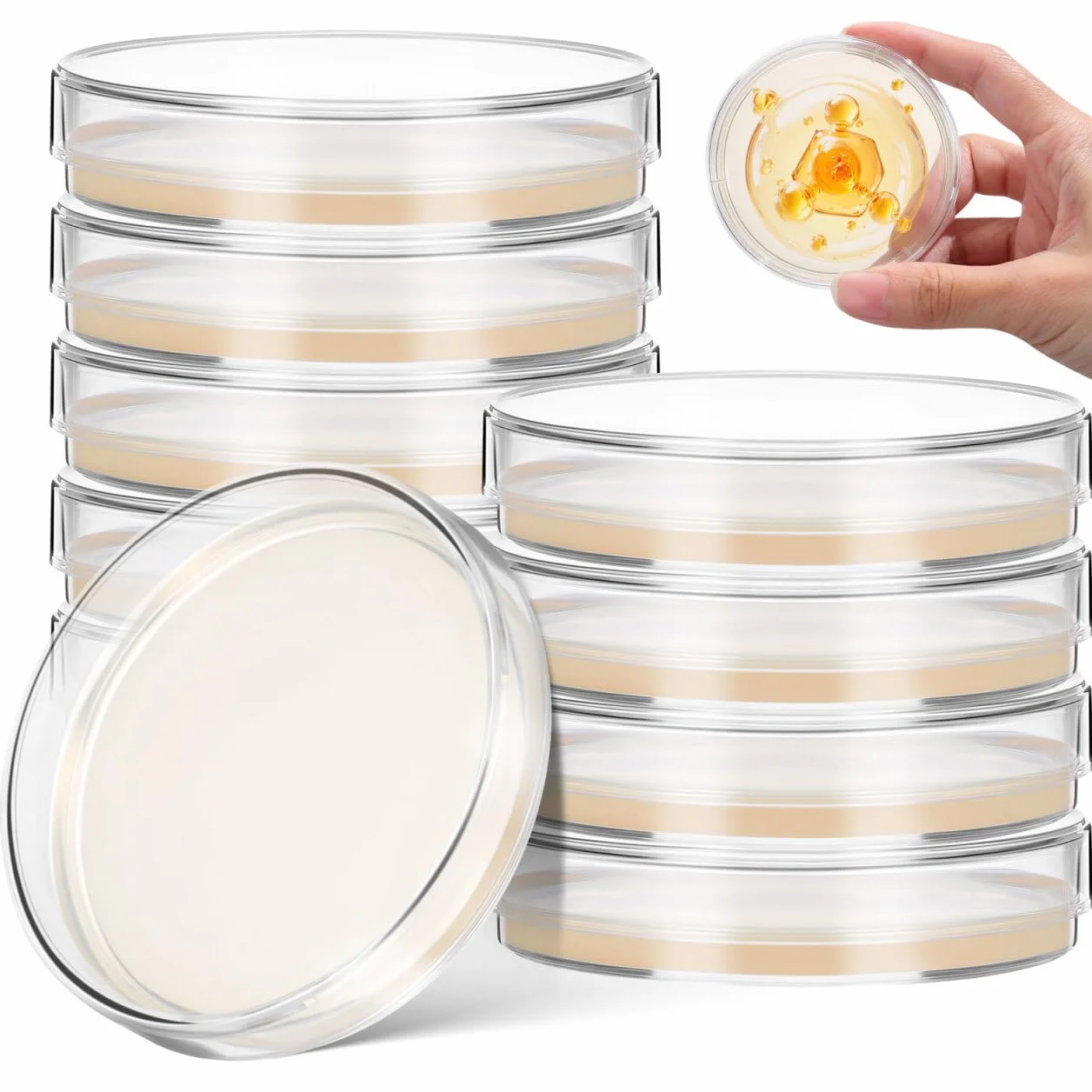 ULTECHNOVO Kit De Proyectos Científicos Para Microbiología 10 Piezas Placas De Agar Pre-Vertidas Placas De Petri Para Aprender Microbiología Proyecto Educativo Para La Ciencia.