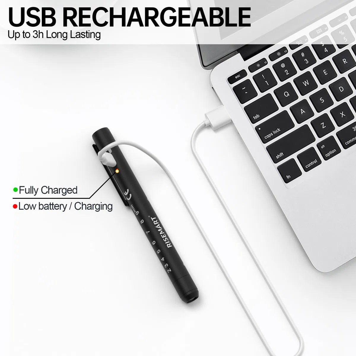 RISEMART Lámpara de diagnóstico para pupilas con medidor de pupilas y regla, luz blanca cálida/fría, recargable por USB, lámpara LED para enfermeras, estudiantes, médicos (negro y plateado)