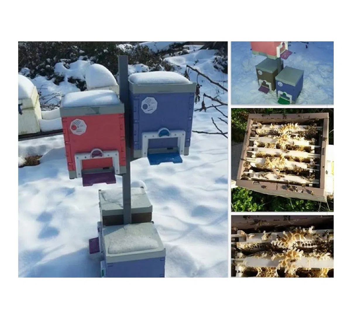 Uzman, Colmena térmica para abejas, apicultura, colmena, apicultor, cesta de abejas, caja de abejas, botín, agricultura, revistas, juegos de colmenas, accesorios