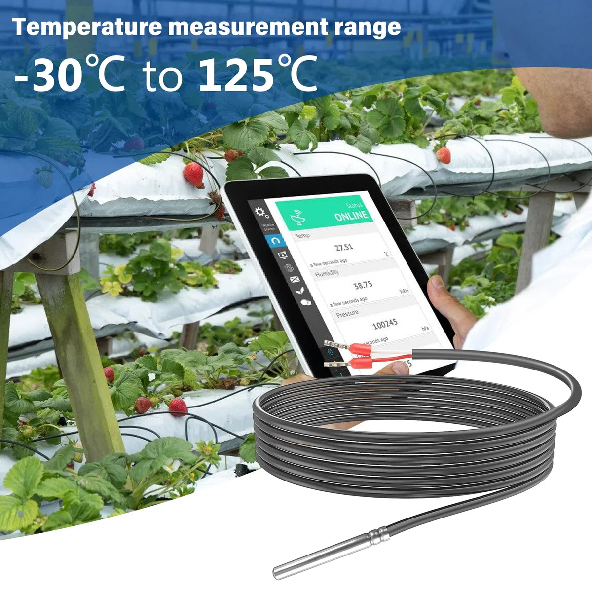 Vegena 3 Piezas Sensores De Temperatura, Pt1000 Sensor De Temperatura Digital Sonda De Tubo De Acero Inoxidable Con Cable De Línea De Pvc Para Monitoreo De Temperatura