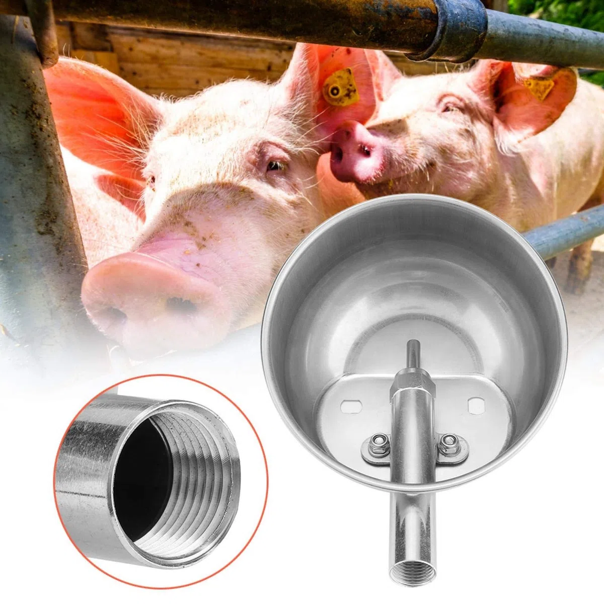 Cuenco de Agua Potable de Cerdo de acero Inoxidable, Equipo de alimentación de lechones para bebederos automáticos