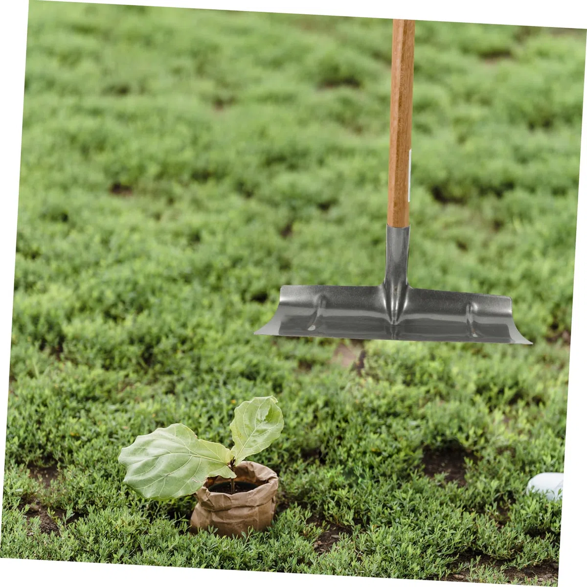 Rastrillos de Hierro para Estiércol, Pala Manual Ligera y Resistente para Limpiar Estiércol de Aves en Jaulas y Suelos de Cemento