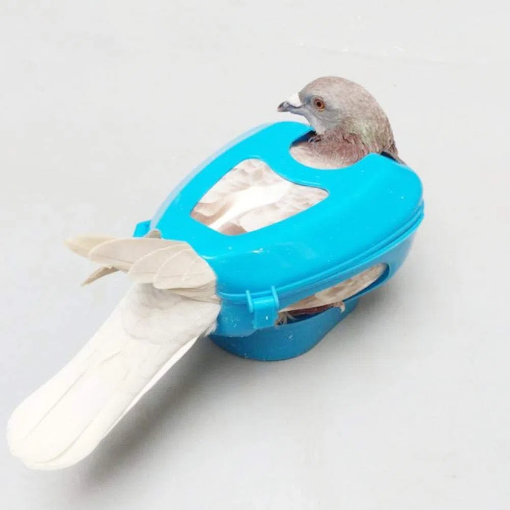 Wytino - Soporte para palomas (plástico fijo)