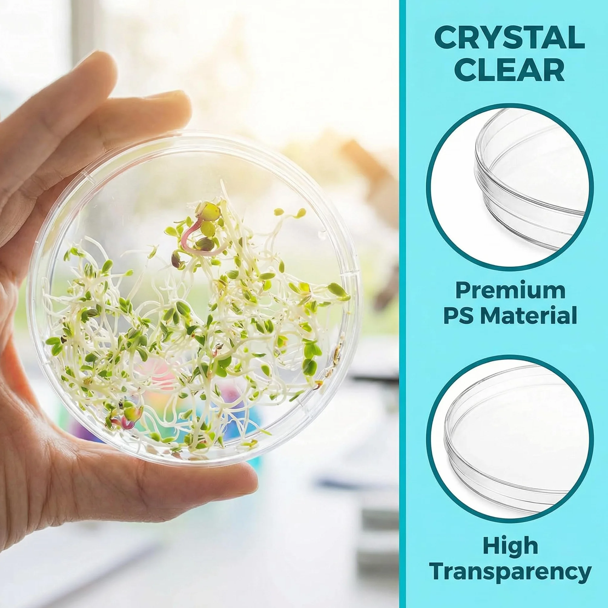 50 PCS Placas de Petri Plastico 90mm x 15 mm, Placa de Petri para Cultivo con Tapa, Estéril Transparente, Placa Laboratorio con Gotero para Escuela, Levadura Bacteriana, Cultivo de Laboratorio