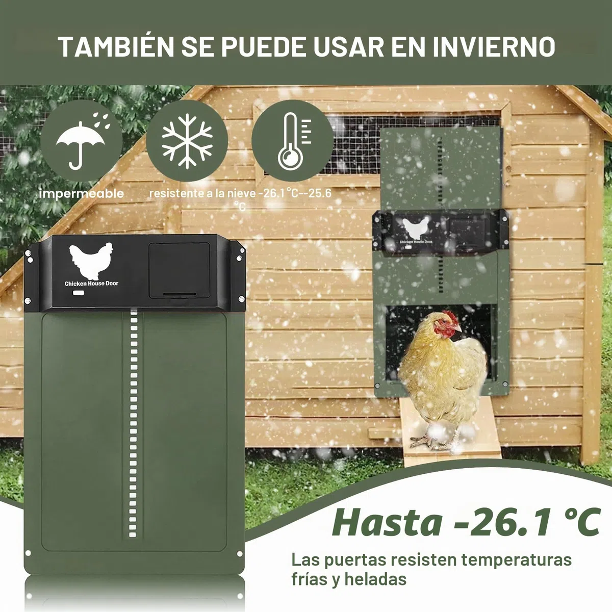 Puerta Automática para Pollos con Corredera y Rieles Guía - Abridor Eléctrico para Gallinero, Cría Segura (Verde)