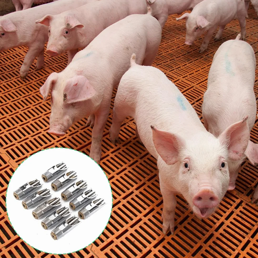 Bebedero Conejo Cerdo, Automáticos Pezones Agua Bebedor Estilo Boca Pig Nipple Waterer Stainless Steel Automatic Piglets Water No Mess Hanging Mount Drinker Sows Drinking Nipples Hog Farm Accessories
